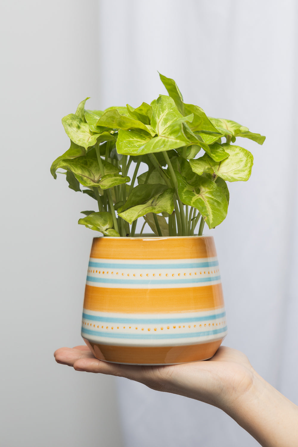 Flower pot ORANGE AQUARELL