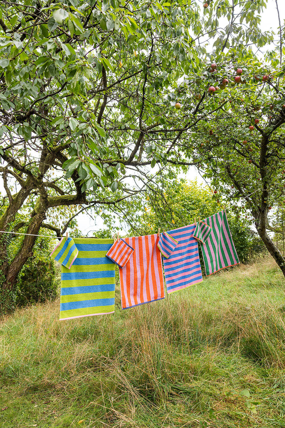 Terry Tea Towel ZESTLINE