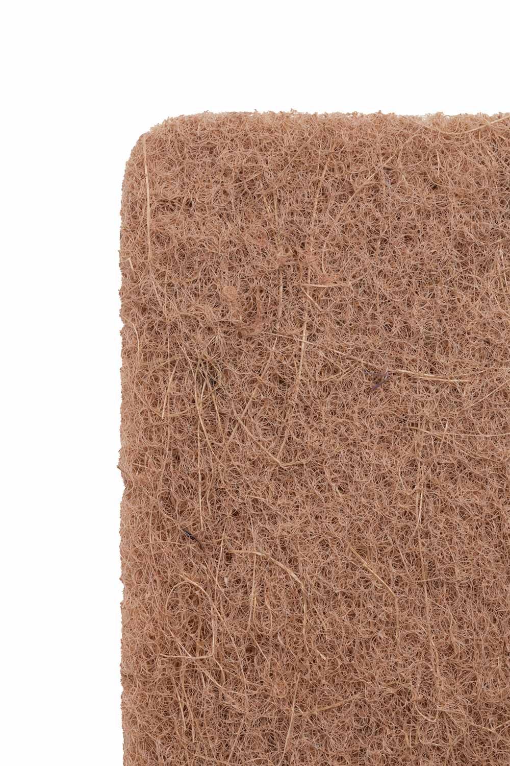 Dish sponge