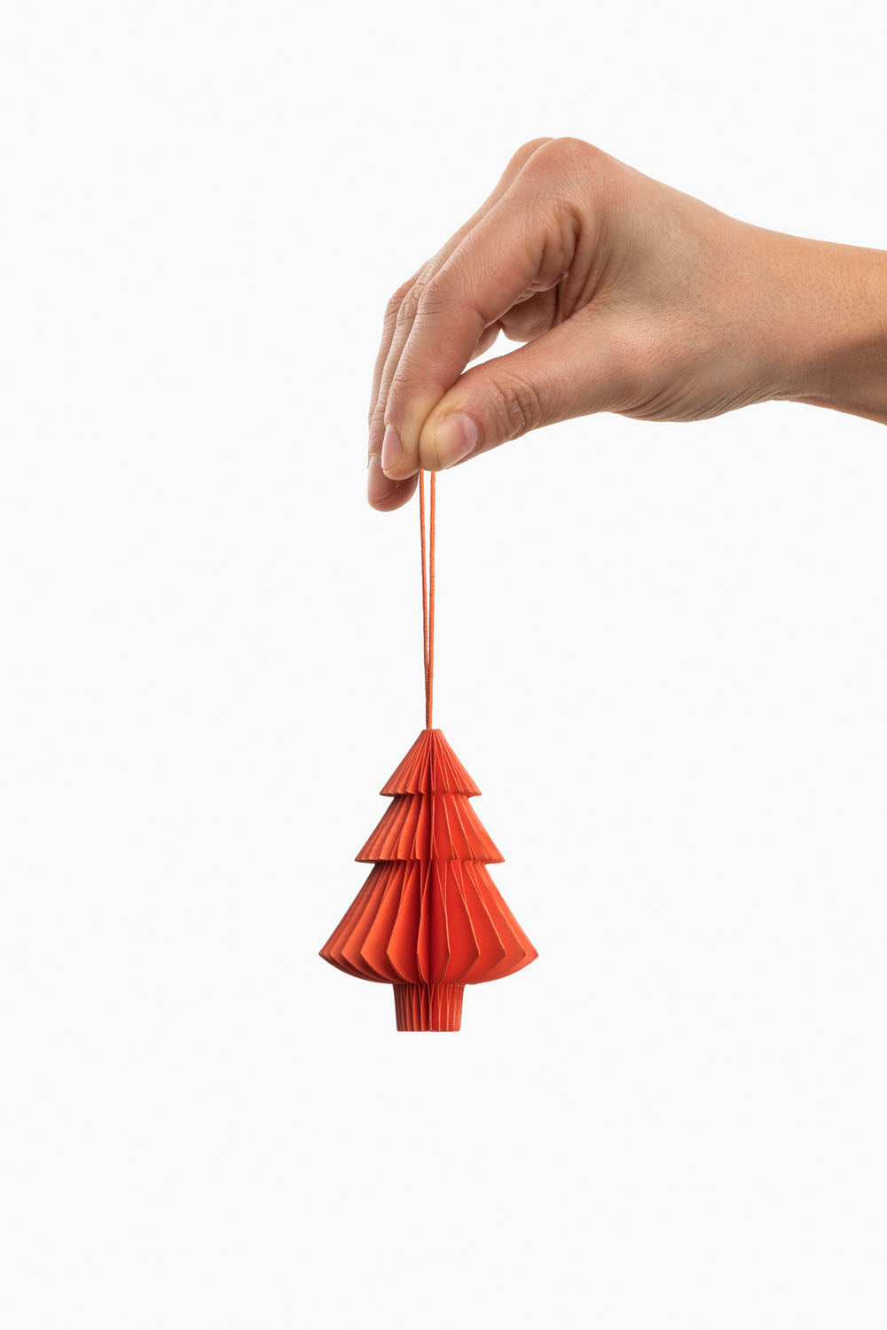 Papieranhänger CAMELIA TREE