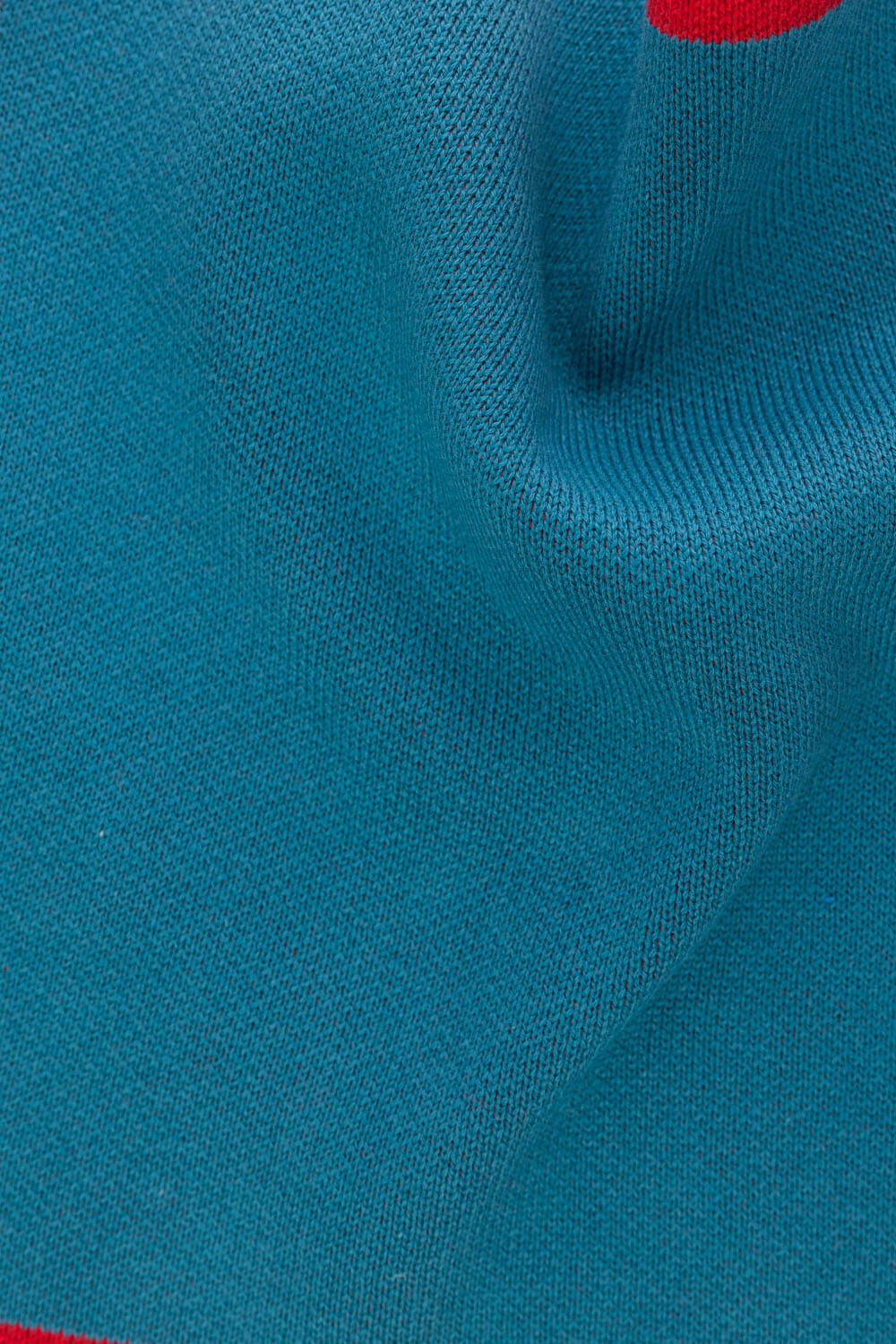 Dishcloth CHECK