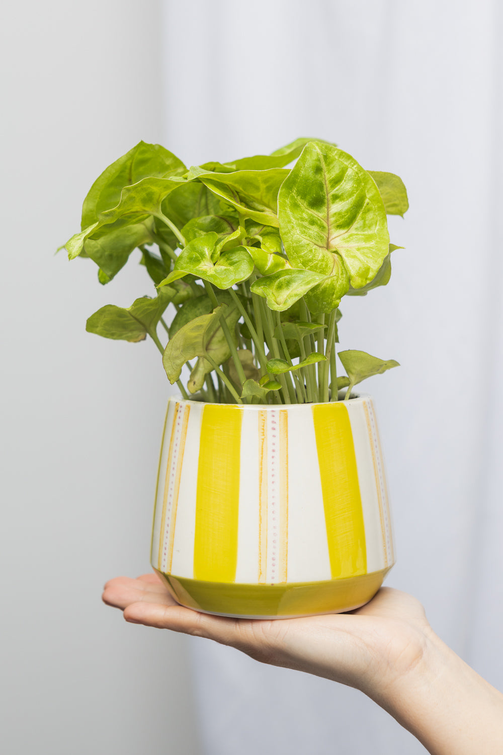 Flower pot LIME AQUARELL