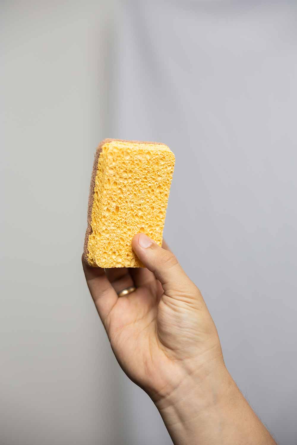 Dish sponge