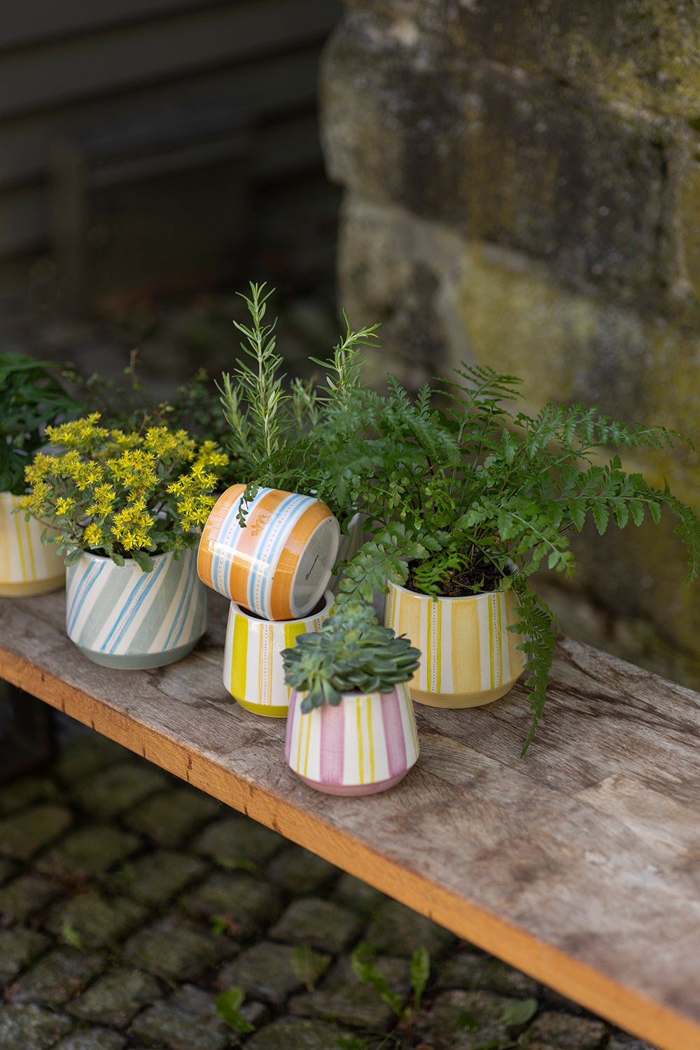 Blumentopf ROSE AQUARELL