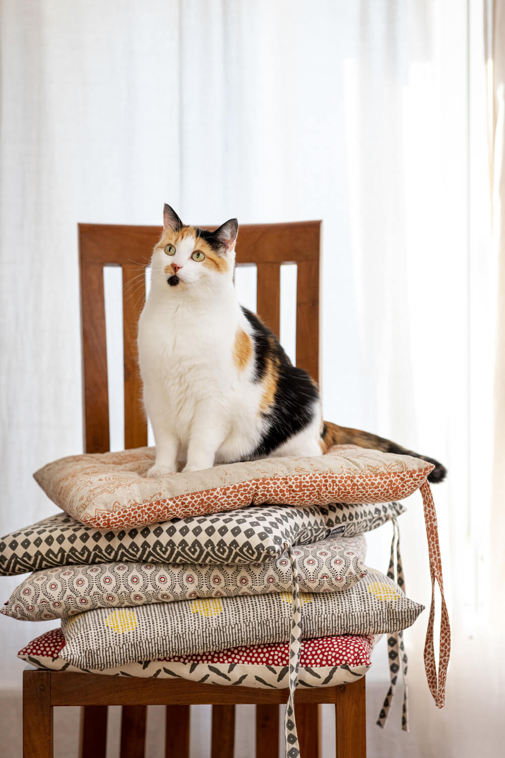 Chair Cushion TRADITIONAL