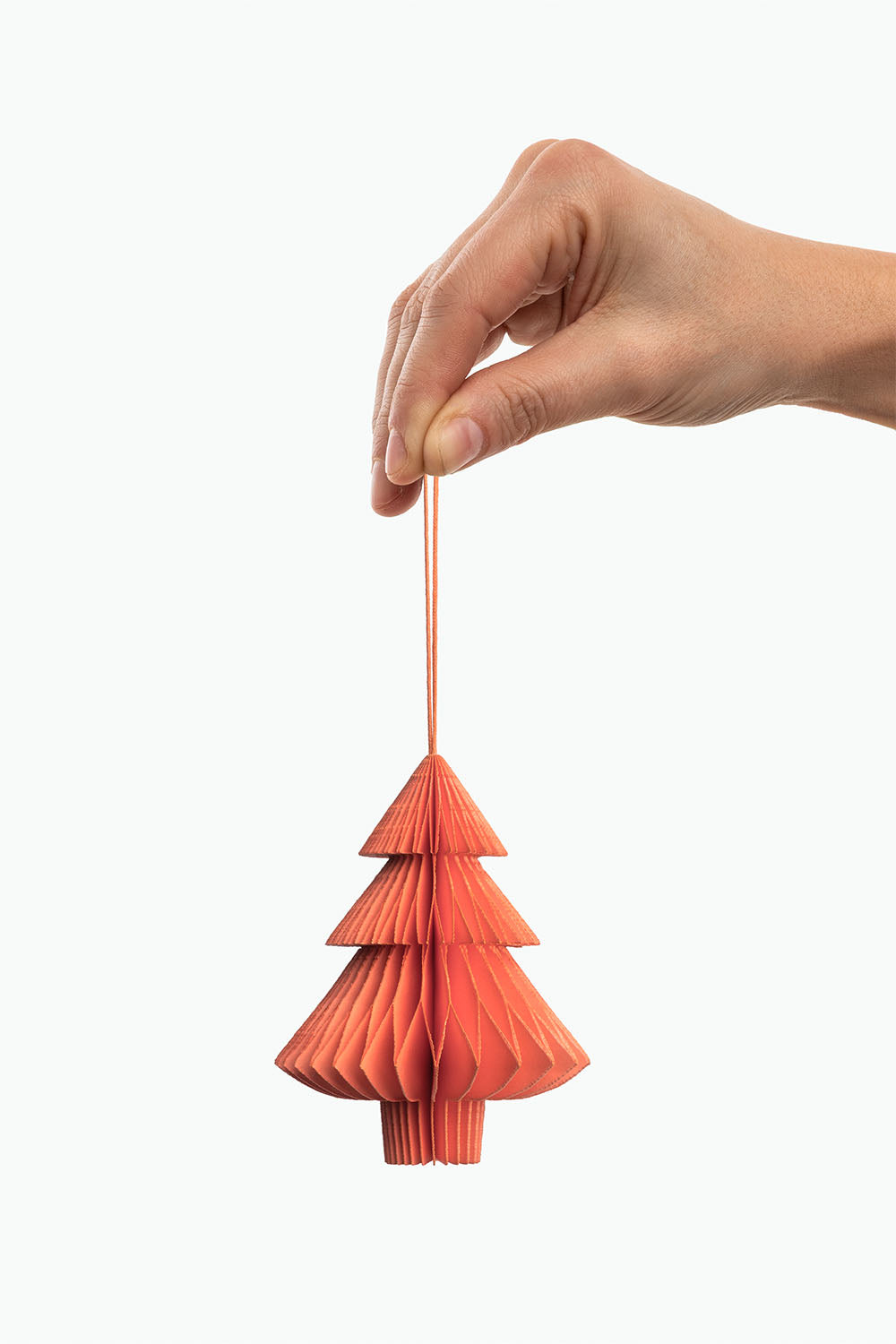 Papieranhänger CAMELIA TREE