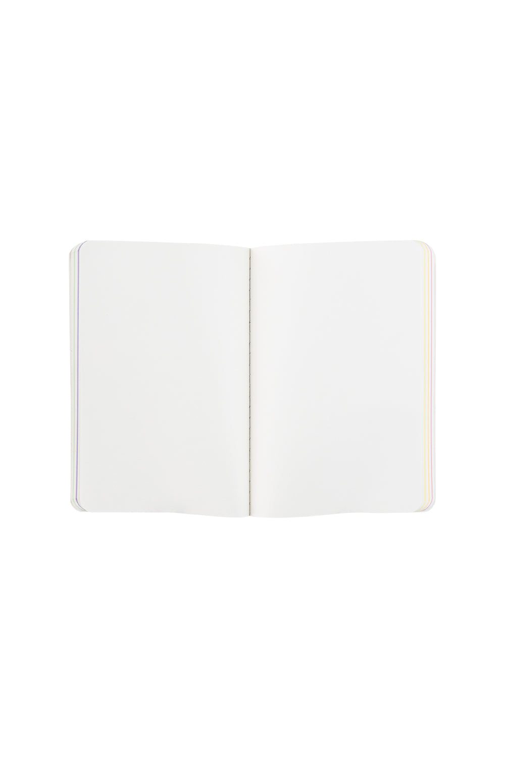 Notebook BIRD